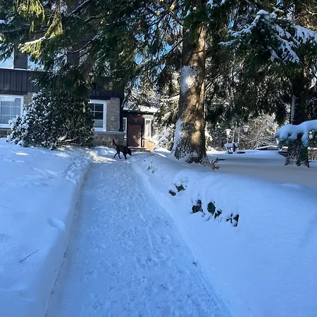 Harzer Weitblick דירה *