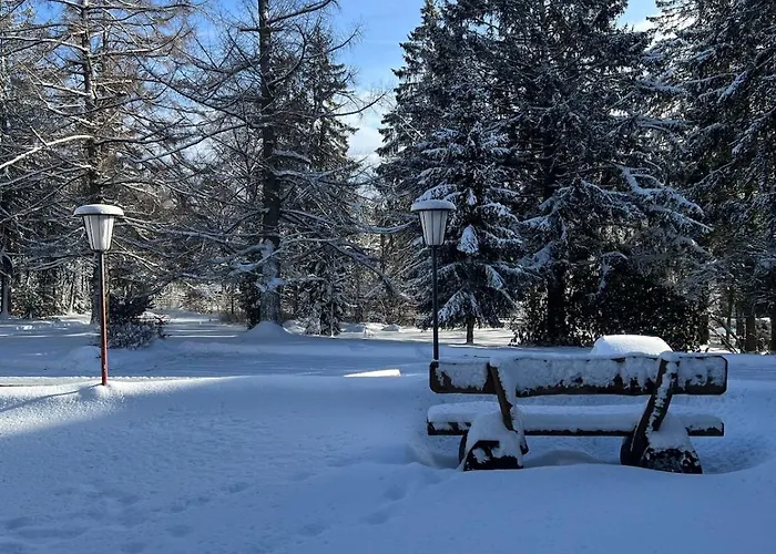 公寓 Harzer Weitblick