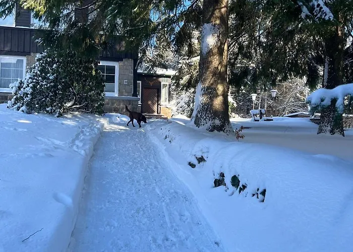 Harzer Weitblick 公寓 *